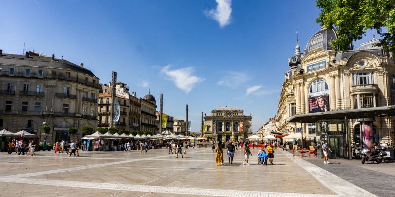 Why learn French in Montpellier?